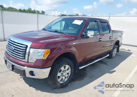 2010 Ford F-150 Fx4/Harley-Davidson/King Ranch/Lariat/Platinum/Xl/Xlt z USA, uszkodzony, nr VIN 1FTFW1EV7AFD64966
